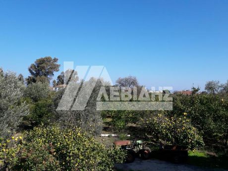 Land plot 18.000sqm for sale-Chios » Chios Town