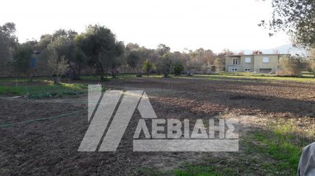 Αγροτεμάχια 2.005τ.μ. για πώληση-Χίος » Άγιος μηνάς