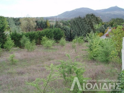 Parcel 2.200sqm for sale-Panorama
