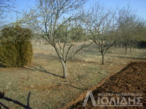Αγροτεμάχια 1.550τ.μ. για πώληση-Πυλαία
