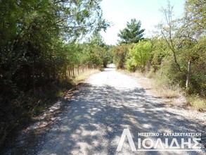Αγροτεμάχια 300τ.μ. για πώληση-Πυλαία » Ελαιώνες