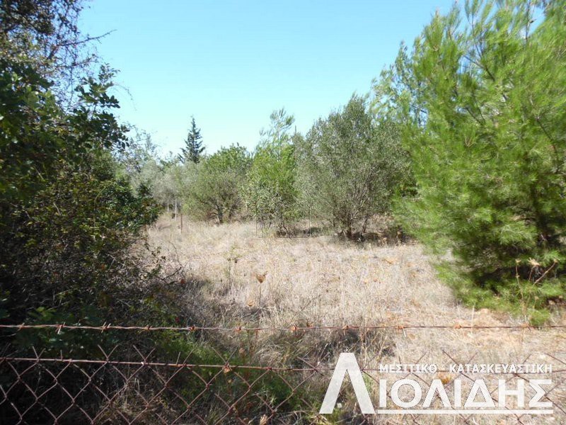 Parcel 600sqm for sale-Pylea » Elaiones