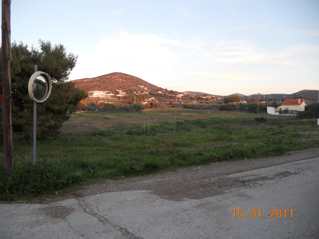 Αγροτεμάχια 5.217 τ.μ. προς πώληση, Αρί
