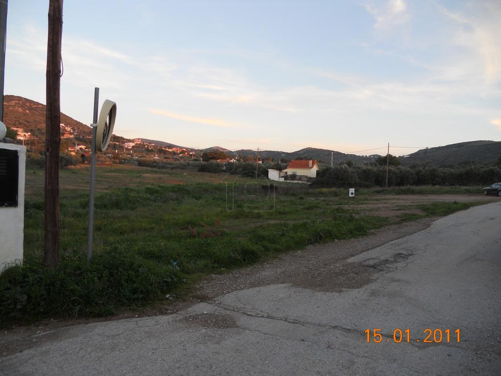Αγροτεμάχια 5.217 τ.μ. προς πώληση, Αρί