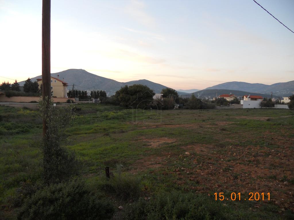 Αγροτεμάχια 5.217 τ.μ. προς πώληση, Αρί