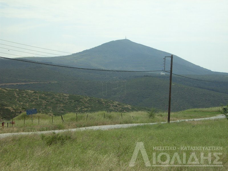 Αγροτεμάχια 4.400τ.μ. για πώληση-Πανόραμα
