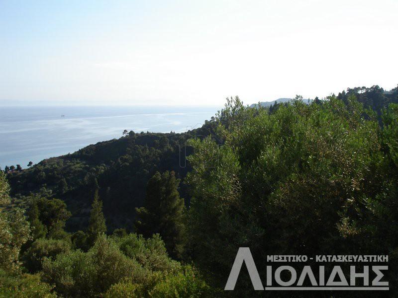 Αγροτεμάχια 4.465 τ.μ. προς πώληση, Άφυτος
