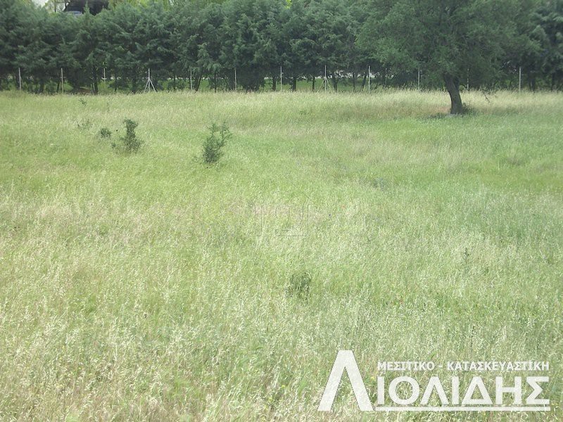 Αγροτεμάχια 4.000τ.μ. για πώληση-Πυλαία