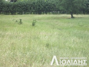 Αγροτεμάχια 4.000τ.μ. για πώληση-Πυλαία