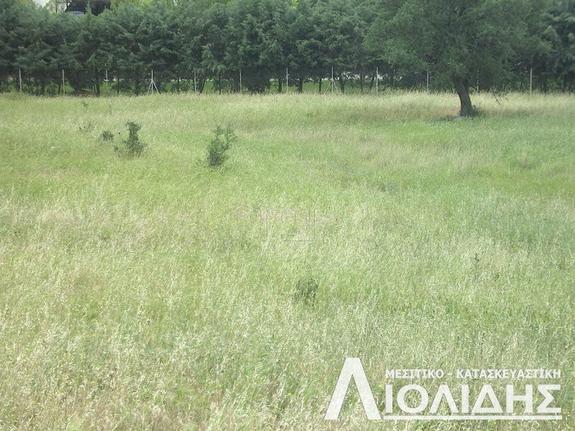Αγροτεμάχια 4.000 τ.μ. για πώληση, Θεσσαλονίκη - Περιφ/Κοί Δήμοι, Πυλαία