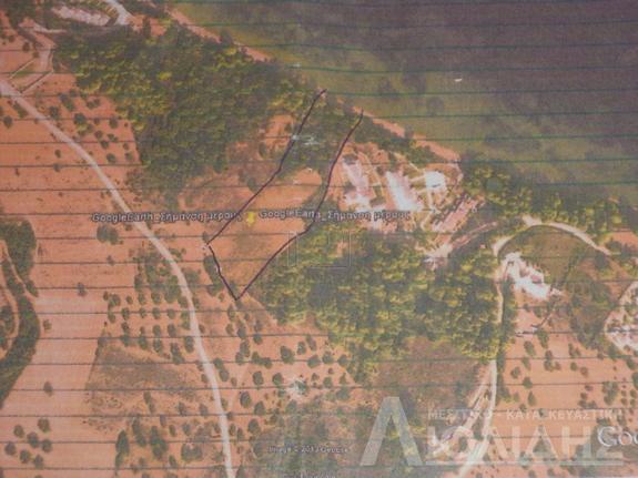 Parcel 10.066,56 sqm for sale, Chalkidiki, Pallini