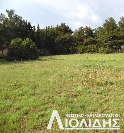 Parcel 5.100 sqm for sale, Thessaloniki - Suburbs, Pylea