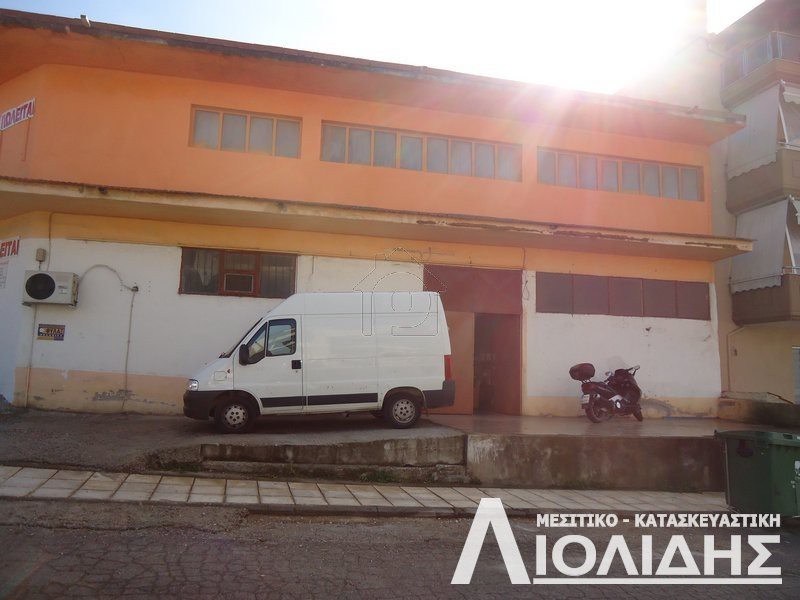 Επιχειρηματικό κτίριο 417τ.μ. για πώληση-Ευκαρπία