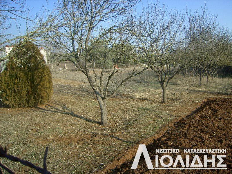 Αγροτεμάχια 1.100τ.μ. για πώληση-Πυλαία » Πουρνάρι