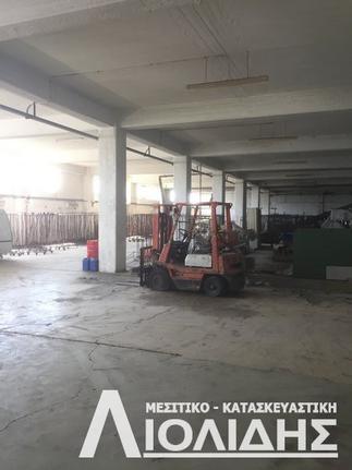 Βιομηχανικός χώρος 11.500 τ.μ. για πώληση, Ν. Κιλκίς, Πολύκαστρο