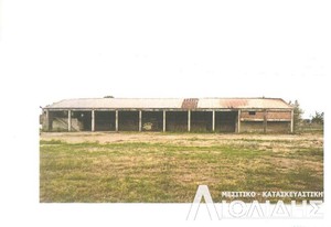 Industrial space 8.000sqm for sale-Chalkidona