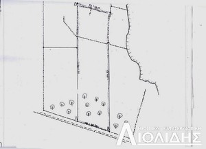 Αγροτεμάχια 7.860τ.μ. για πώληση-Πυλαία