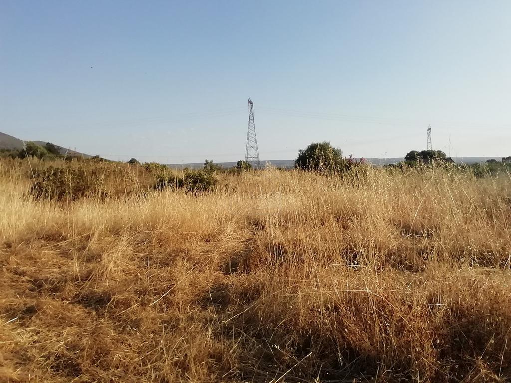 Αγροτεμάχια 2.000 τ.μ. προς πώληση, Λάρυμνα