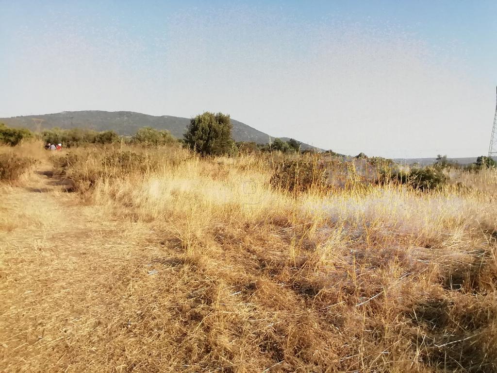 Αγροτεμάχια 2.000 τ.μ. προς πώληση, Λάρυμνα