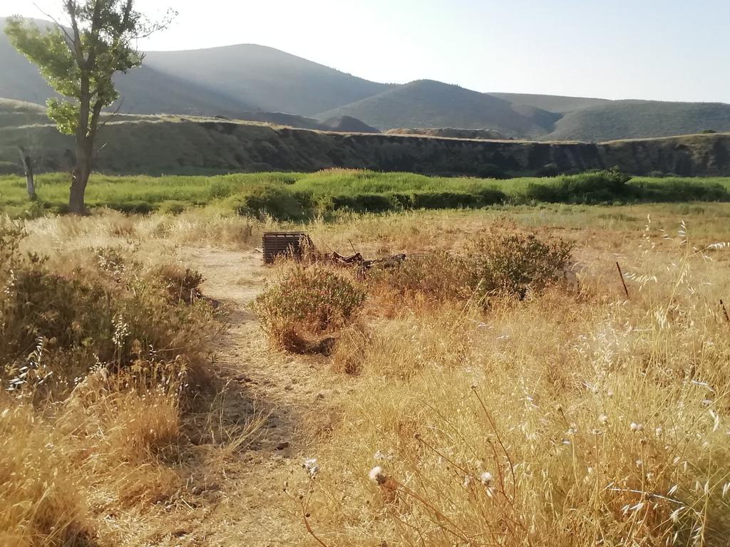 Αγροτεμάχια 2.000 τ.μ. προς πώληση, Λάρυμνα