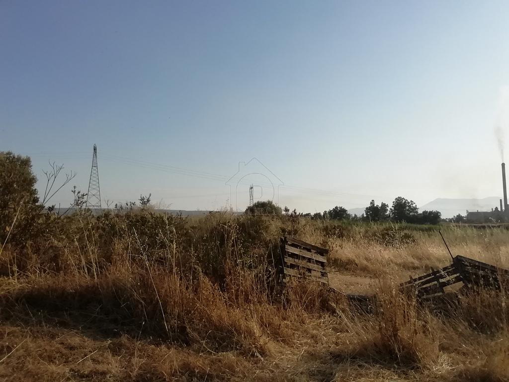Αγροτεμάχια 2.000 τ.μ. προς πώληση, Λάρυμνα