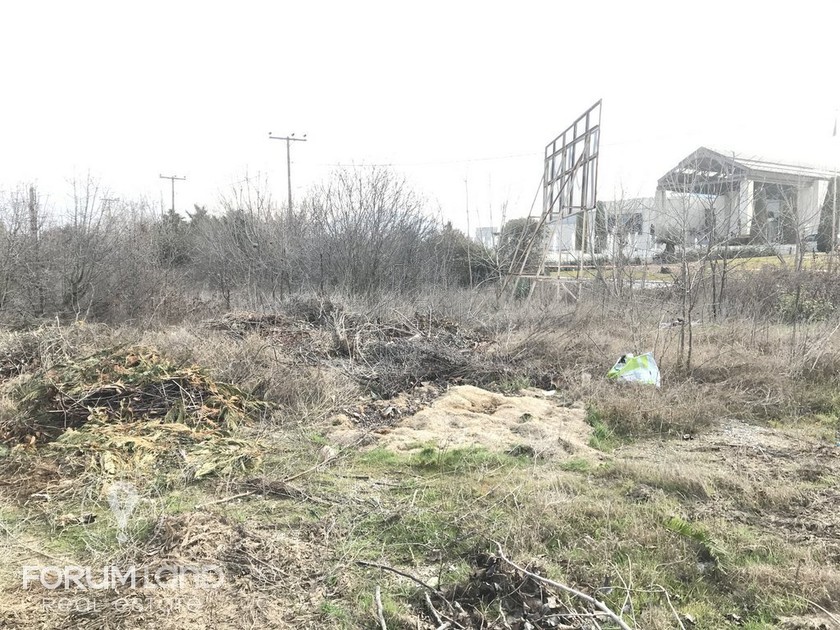 Parcel 8.000sqm for sale-Pylea » Mediterranean Cosmos