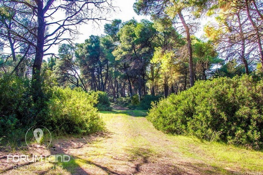 Parcel 4.840sqm for sale-Kassandra » Sani