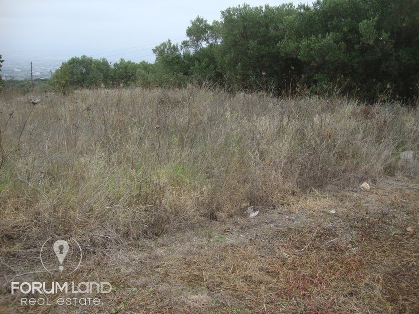 Parcel 15.500sqm for sale-Pylea » Center