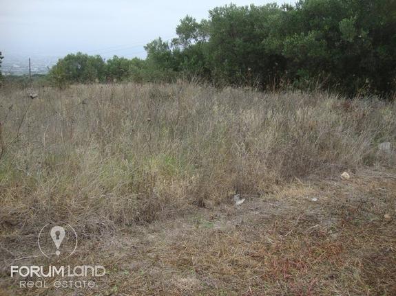 Parcel 15.500 sqm for sale, Thessaloniki - Suburbs, Pylea