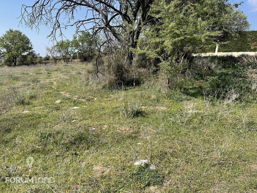 Αγροτεμάχια 3.300 τ.μ. προς πώληση, Θεσσαλονίκη - Περιφ/Κοί Δήμοι, Πυλαία