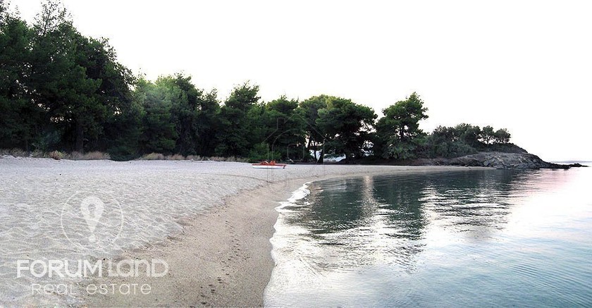 Αγροτεμάχια 5.000 τ.μ. για πώληση