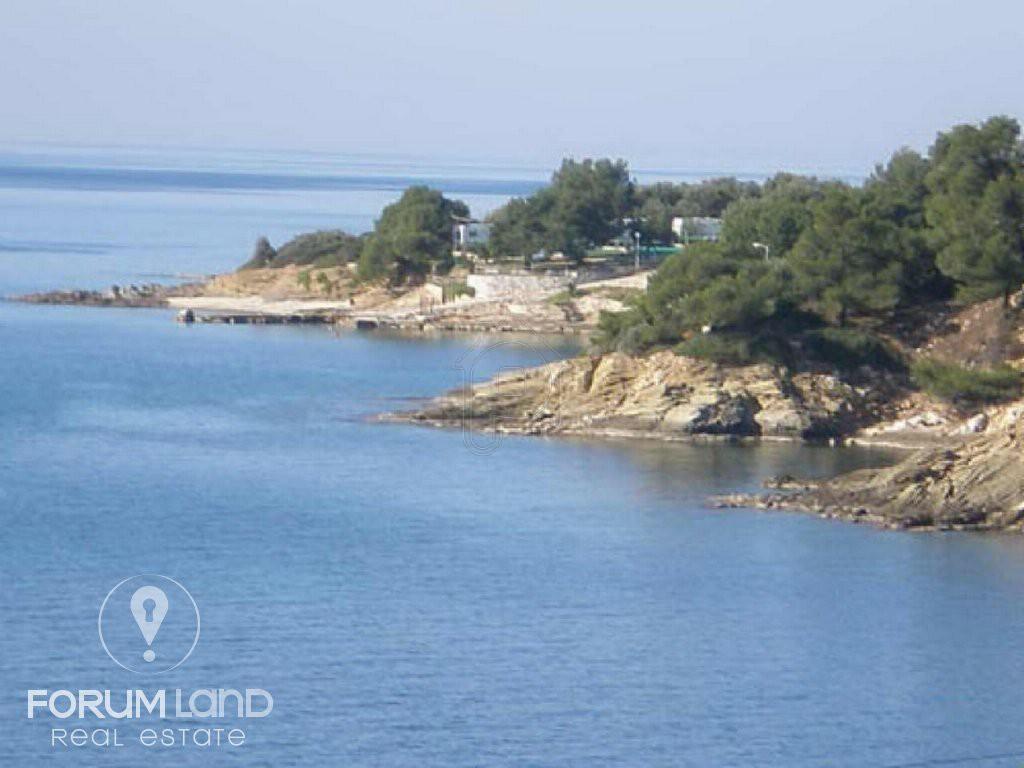 Αγροτεμάχια 5.000 τ.μ. προς πώληση, Ελιά Σιθωνίας