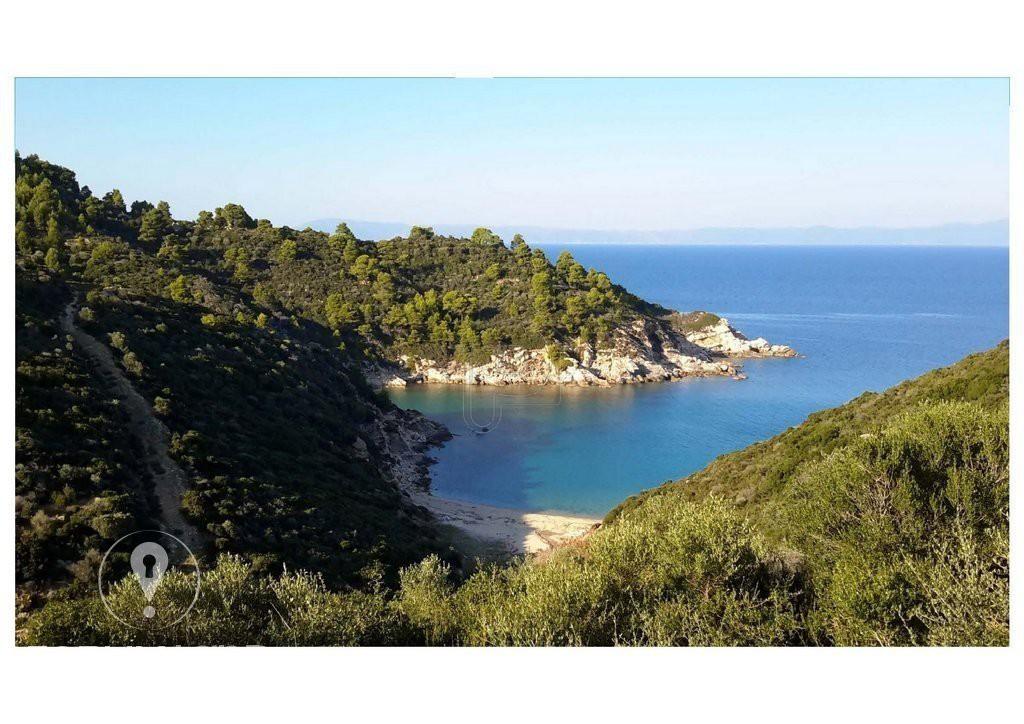 Αγροτεμάχια 12.500 τ.μ. προς πώληση, Σάρτη