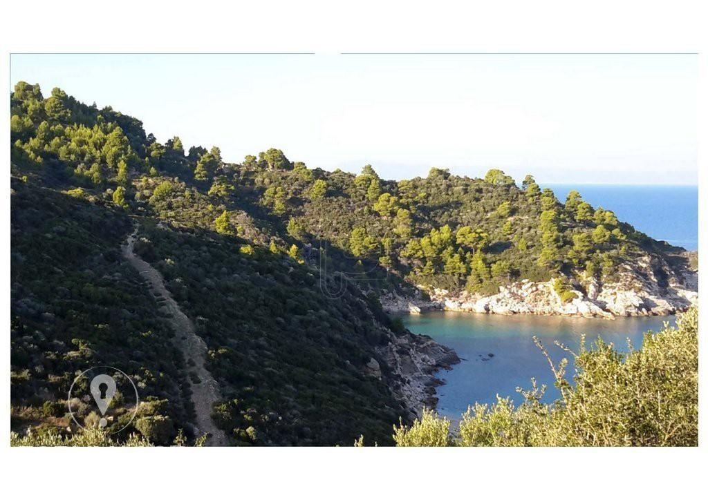 Αγροτεμάχια 12.500 τ.μ. προς πώληση, Σάρτη
