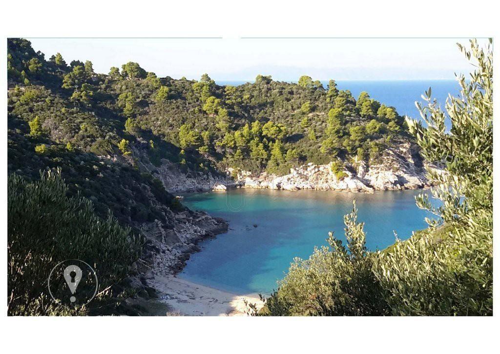 Αγροτεμάχια 12.500 τ.μ. προς πώληση, Σάρτη