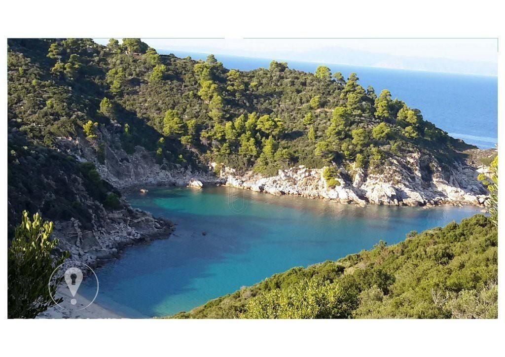 Αγροτεμάχια 12.500 τ.μ. προς πώληση, Σάρτη