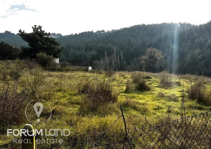 Parcel 5.274sqm for sale-Pylea » Elaiones