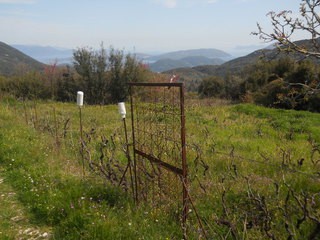 Οικόπεδο 700 τ.μ. για πώληση