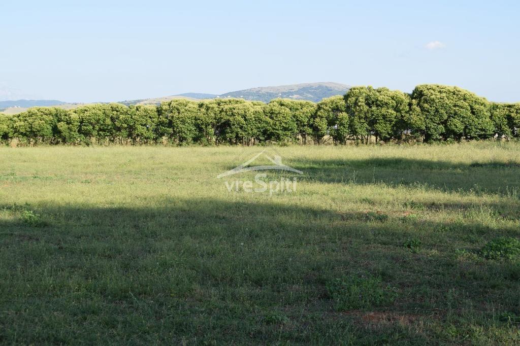 Αγροτεμάχια 9.000 τ.μ. προς ενοικίαση, Ν. Ιωαννίνων, Ιωάννινα