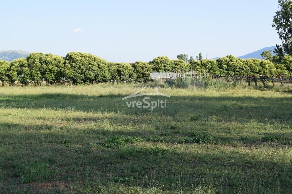 Αγροτεμάχια 9.000 τ.μ. προς ενοικίαση, Ν. Ιωαννίνων, Ιωάννινα