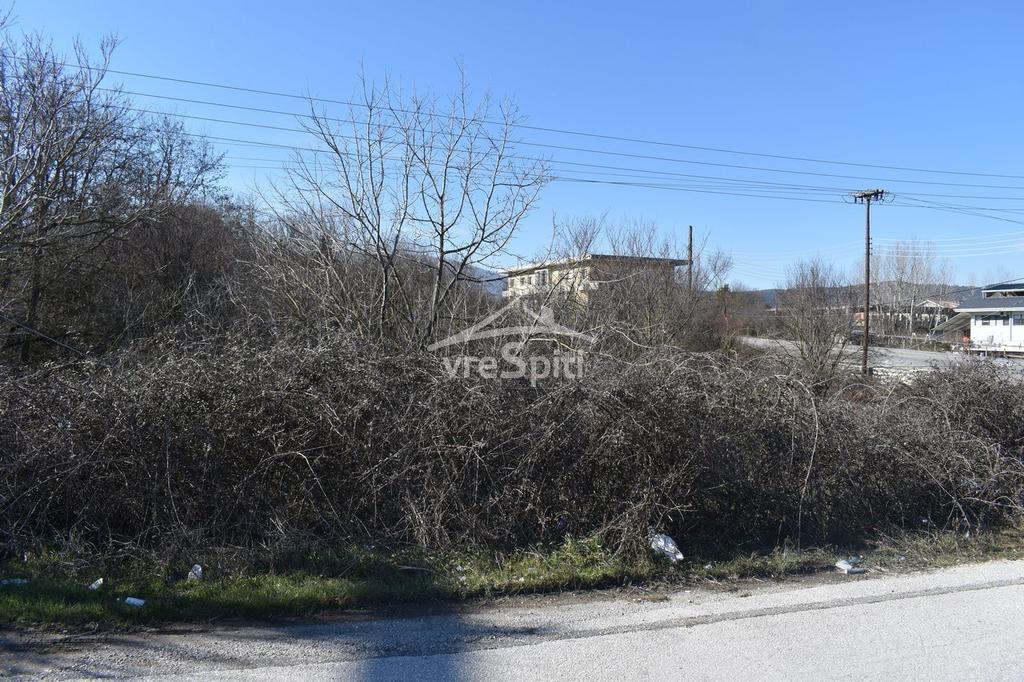 Αγροτεμάχια 4.480 τ.μ. προς πώληση, Ιωάννινα