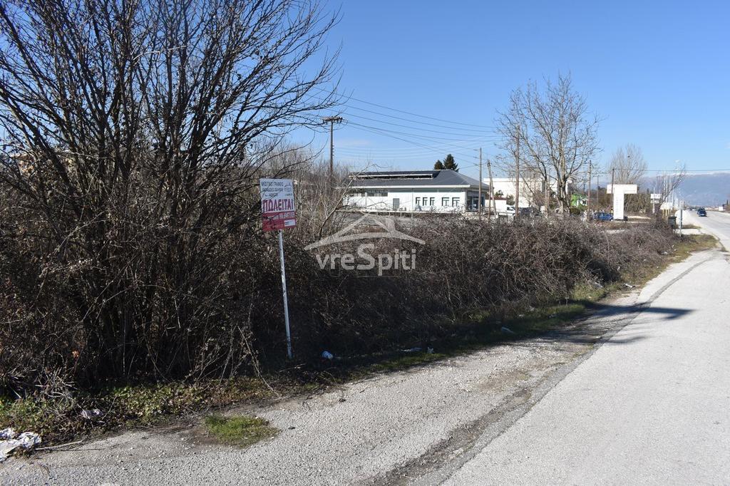 Αγροτεμάχια 4.480 τ.μ. προς πώληση, Ιωάννινα