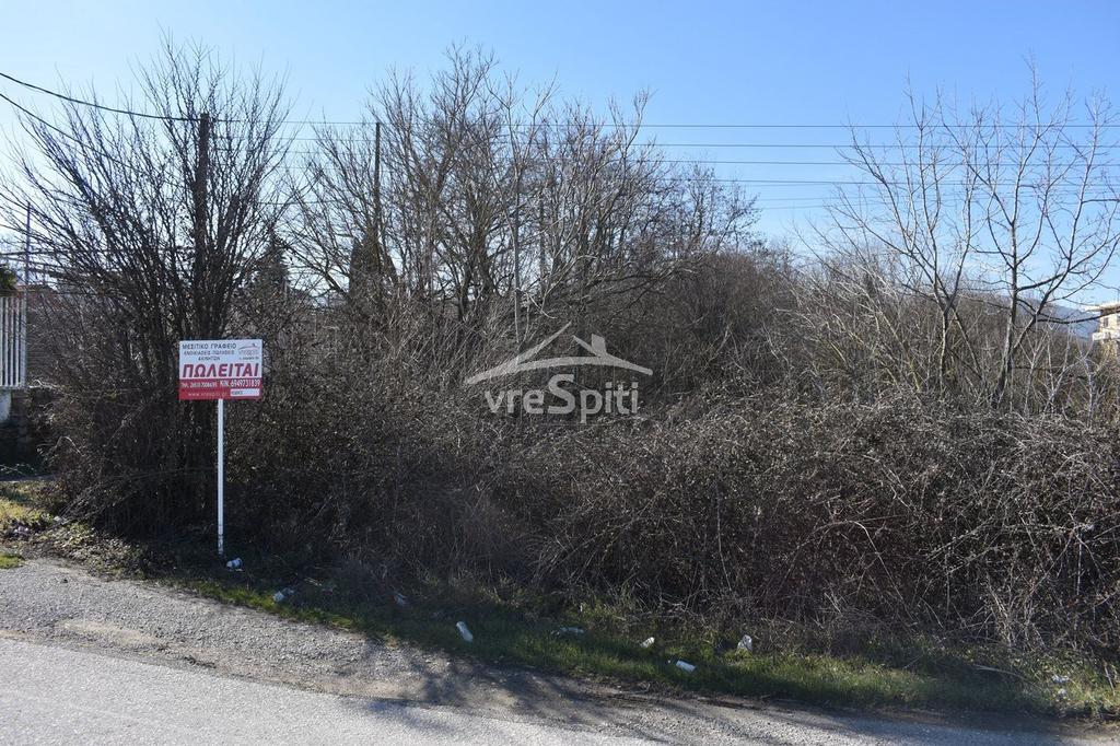 Αγροτεμάχια 4.480 τ.μ. προς πώληση, Ιωάννινα