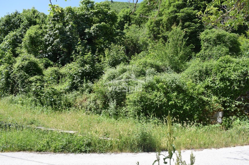Land plot 292,38sqm for sale-Kentriko Zagori