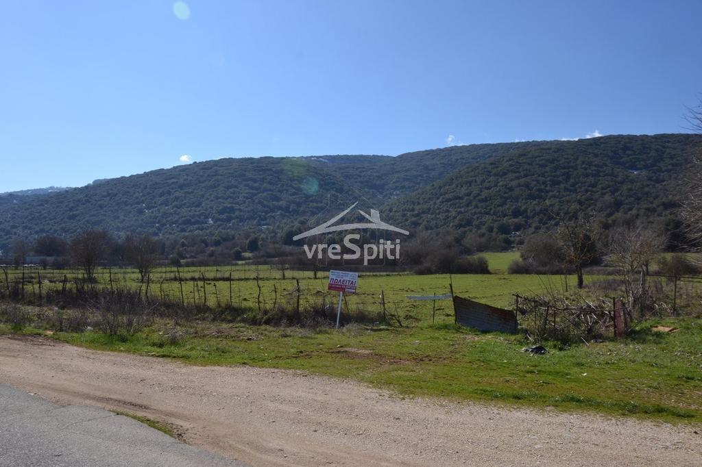 Αγροτεμάχια 4.600 τ.μ. προς πώληση, Ιωάννινα
