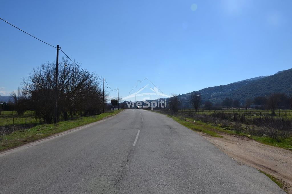 Αγροτεμάχια 4.600 τ.μ. προς πώληση, Ιωάννινα