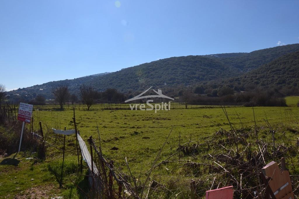 Αγροτεμάχια 4.600 τ.μ. προς πώληση, Ιωάννινα
