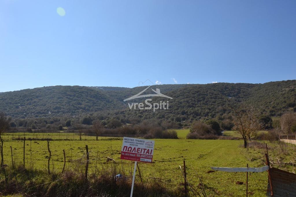 Αγροτεμάχια 4.600 τ.μ. προς πώληση, Ιωάννινα