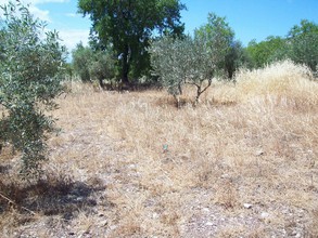 Αγροτεμάχια 4.500τ.μ. για πώληση-Λουτράκι-περαχώρα