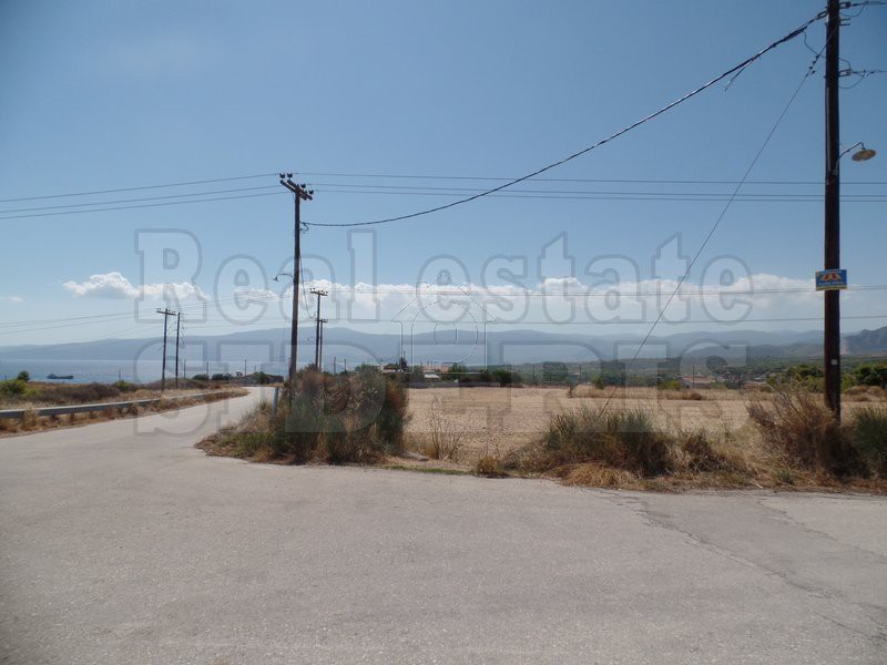 Αγροτεμάχια 6.500τ.μ. για πώληση-Λουτράκι-περαχώρα